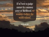 To Judge Nature by Annie Dillard Inspirational Graphic Quote