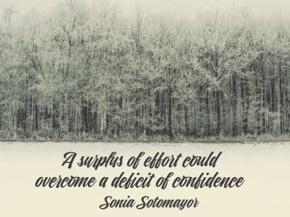 Deficit of Confidence Inspirational Quote by Sonya Sotomayor Inspirational Poster