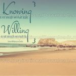 Knowing Is Not Enough by Wolfgang von Goethe